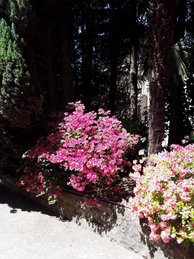 Villa Coris Ferienwohnung Magnolia Merano Exteriér fotografie