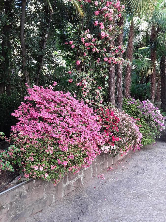 Villa Coris Ferienwohnung Magnolia Merano Exteriér fotografie